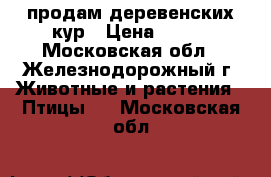 продам деревенских кур › Цена ­ 500 - Московская обл., Железнодорожный г. Животные и растения » Птицы   . Московская обл.